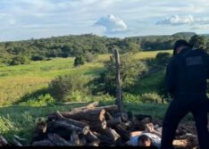 Suspeito de assassinar feirante em frente a Rodoviária de Picos é preso em Paquetá
