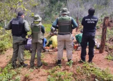 Operação prende cinco pessoas por desmatamento ilegal em área indígena no Piauí
