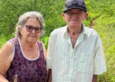Casal de Jacobina do Piauí morre após ser atacado por enxame de abelhas