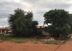 Picos: corpo em estado de decomposição é encontrado em terreno baldio no bairro Junco