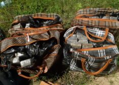 PRF apreende 60 tabletes de maconha transportados em ônibus no Piauí