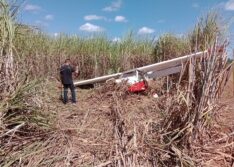 Avião monomotor faz pouso de emergência em canavial entre Teresina e União