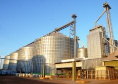 Piauí tem crescimento na balança comercial no primeiro semestre de 2023