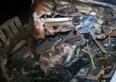 Motorista invade contramão, bate em ônibus e morre na BR-343 em Cocal