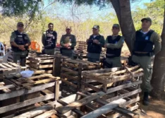 Polícia Militar flagra e encerra rinha de galos em São Pedro do Piauí