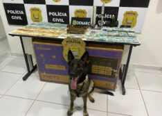 Polícia prende três mulheres com R$ 117 mil e maconha Skunk