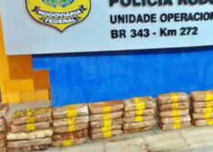 PRF apreende cocaína avaliada em R$ 6,8 milhões em fundo falso de caminhão no Piauí