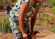 Cachorros são esfaqueados em comunidade rural de Picos