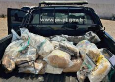 Polícia Civil de Picos incinera 200 kg drogas avaliadas em R$ 10 milhões