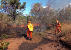 Em nove dias, Corpo de Bombeiros registra 40 queimadas em Picos