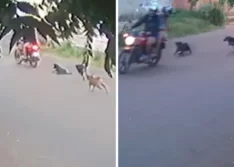 Polícia identifica mãe e filha filmadas em uma moto arrastando cadela presa a corrente em Picos