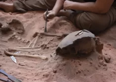 Novo esqueleto encontrado com braceletes indica existência de “templo” indígena em Guaribas, no Sul do Piauí