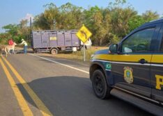 PRF apreende 23 animais soltos em duas rodovias no Piauí