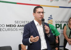 Desmatamento no cerrado do Piauí reduz 59% no primeiro semestre de 2023