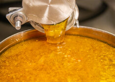 Produção de mel no Piauí cresce 432% em dez anos