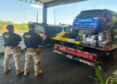 Carga de mais de 175kg de maconha foi apreendida pela PRF em Floriano