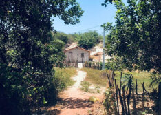 Lavrador tem casa invadida por suspeitos de integrar facção e é torturado no litoral do Piauí