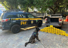 Condutor é preso com mais de 62 kg de crack na BR-343 em Teresina