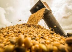Exportações do PI alcançaram a marca de R$ 6,8 bilhões em outubro