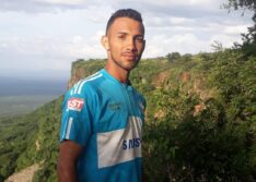 PI: Jovem morre após ser atacado por abelhas durante extração da palha da carnaúba