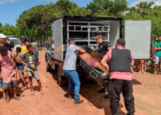 Homens são encontrados mortos em suposto ponto de venda de drogas em Buriti dos Lopes