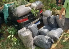 Homem foge e abandona carro com sacos de maconha em rodovia do Piauí