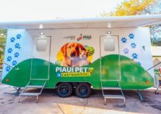 Piauí Pet Castramóvel atinge marca de 1.600 atendimentos e realiza mais de 500 castrações