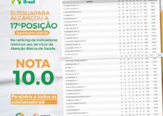 Sussuapara avança no ranking e conquista nota 10 no Previne Brasil