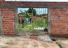 Criança de oito anos é atacada por pitbull em Teresina; animal foi morto por populares