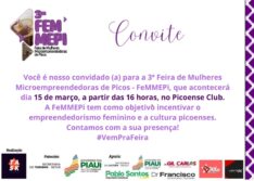 Terceira edição da Feira de Empreendedorismo Feminino de Picos acontece nesta sexta (15)