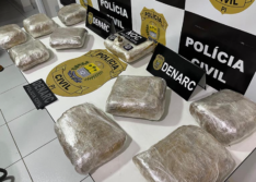 Mulher é presa transportando 10 kg de droga em ônibus durante operação contra rota do tráfico