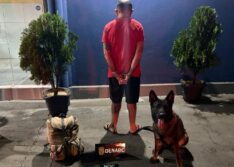 Homem é preso transportando drogas avaliadas em R$ 300 mil em ônibus interestadual