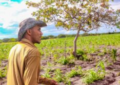 Agricultores de mais 30 municípios do Piauí serão beneficiados com pagamento do Garantia Safra