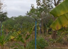 SAF entrega kits de irrigação e equipamentos agrícolas para 27 municípios na segunda (15)