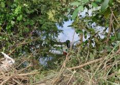 Homem morre após carro cair em criatório de peixe na zona rural de Teresina