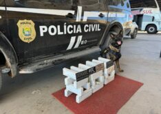 Operação contra o tráfico de drogas apreende mochila com 24 tabletes de maconha dentro de ônibus no Sul do Piauí