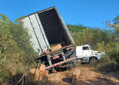 Caminhoneiro de 31 anos dorme ao volante e morre em acidente na BR-222 no Norte do Piauí