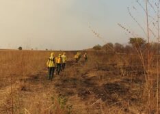 Piauí contará com 63 brigadistas para combater queimadas no segundo semestre de 2024