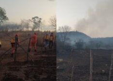 Incêndio atinge propriedades rurais, devasta áreas de cultivo e mata dezenas de animais no Piauí