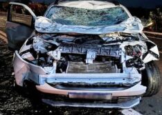 Pároco de São Julião colide carro com animal na BR-230