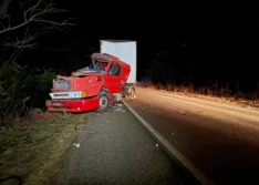 Carreta colide com micro-ônibus na BR-407, em Geminiano, e mulher fica ferida