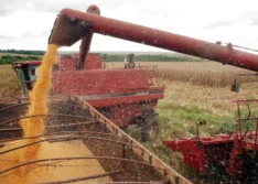 Dois municípios piauienses estão entre os 100 mais ricos do agro em 2023