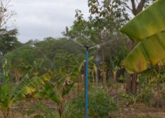 Sistemas de independência distribuídos pela SAF beneficiam mais de 2,6 mil famílias de agricultores