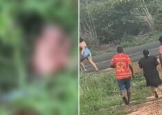 Recém-nascida encontrada em matagal é transferida para Evangelina Rosa em Teresina