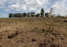 Ministério reconhece situação de emergência em 66 cidades do Piauí afetadas pela estiagem