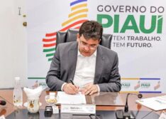 Rafael Fonteles sanciona lei para proteção animal e controle de reprodução de cães e gatos