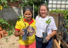 Prefeitura realiza a entrega de mudas de caju para agricultores de Picos