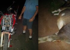 Homem morre após colidir com bovino no Povoado Pai Amaro, zona rural de Paquetá do Piauí