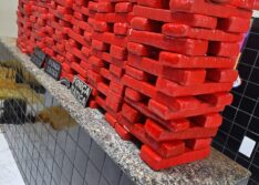PM apreende 293 tabletes de maconha avaliados em R$ 3 milhões, maior apreensão de drogas da história de Valença do Piauí