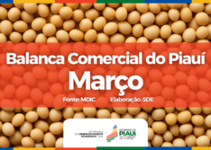 Balança comercial do Piauí registra superávit de R$ 410,8 milhões no mês de março